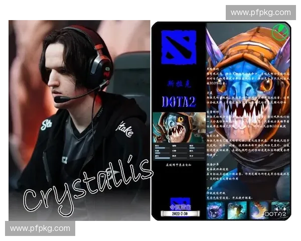 Dota2九九深度解析带你了解这位传奇选手的成长历程与电竞精神